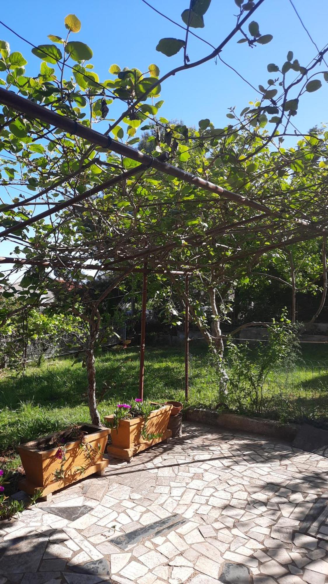Lena. Appartement Premantura